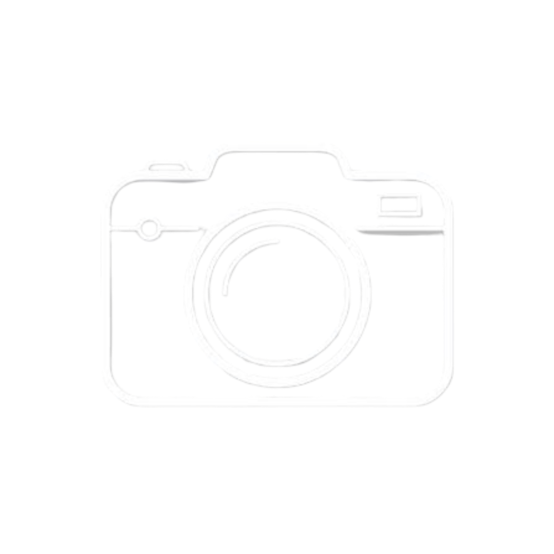 Camera Icon