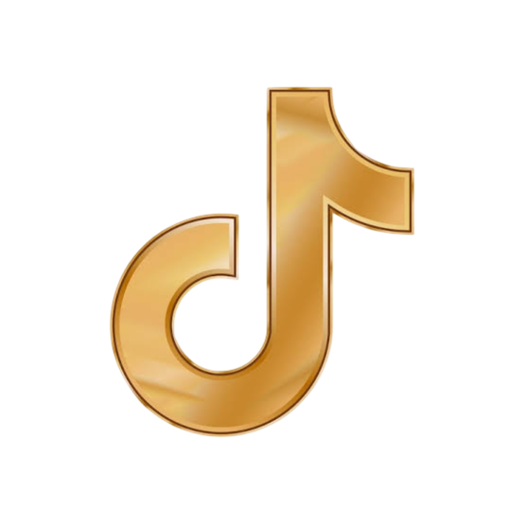 Tiktok Icon